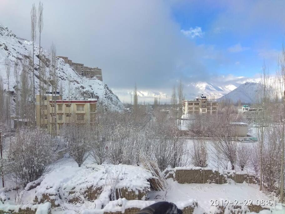 Snow Lion Ladakh Hotel Лех Екстериор снимка