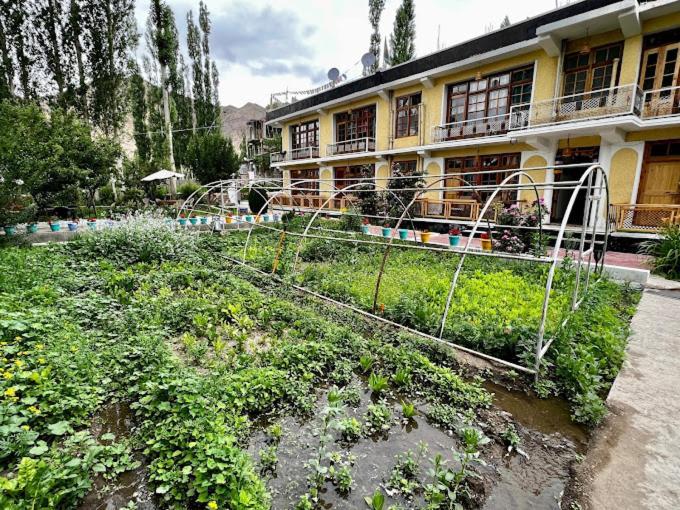 Snow Lion Ladakh Hotel Лех Екстериор снимка